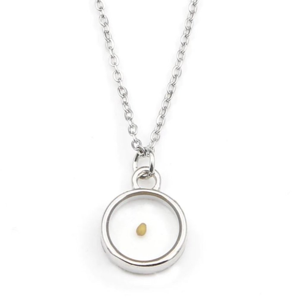 Faith Like A Mustard Seed Christian Necklace